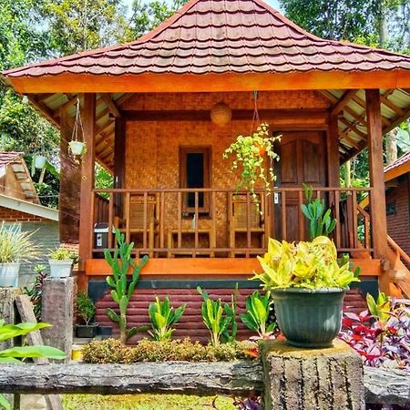 Pondok Rinjani Bungalow Tetebatu Buitenkant foto