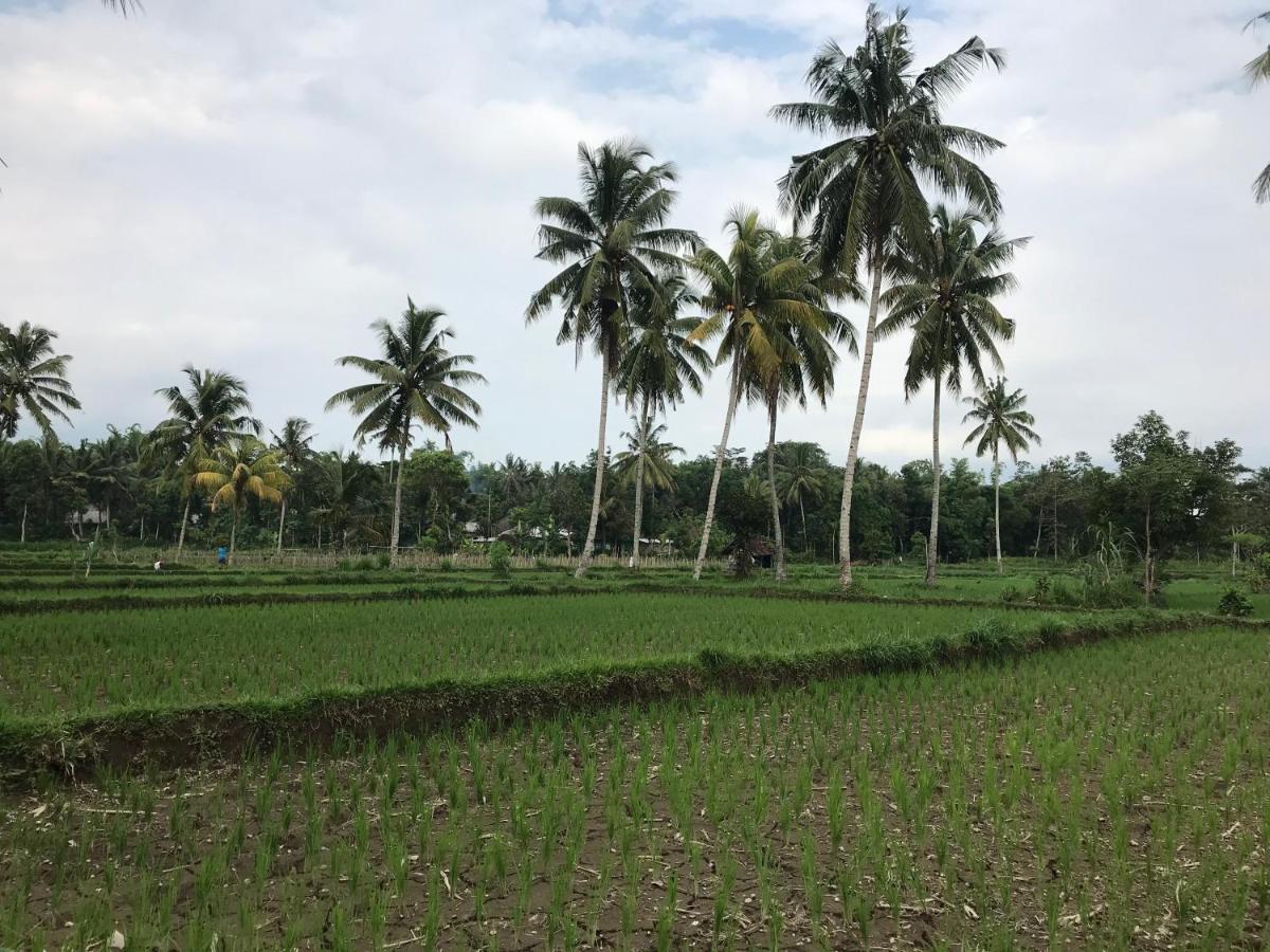 Pondok Rinjani Bungalow Tetebatu Buitenkant foto