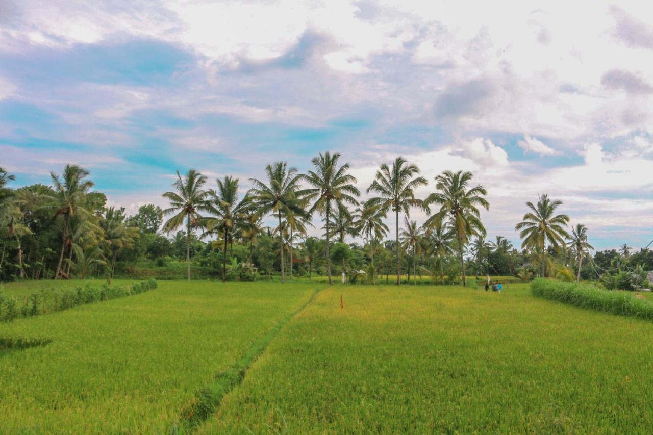 Pondok Rinjani Bungalow Tetebatu Buitenkant foto